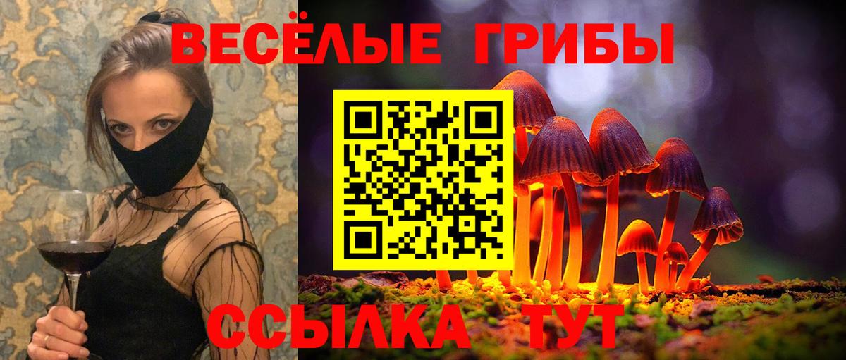 Псилоцибиновые грибы прущие грибы Кстово