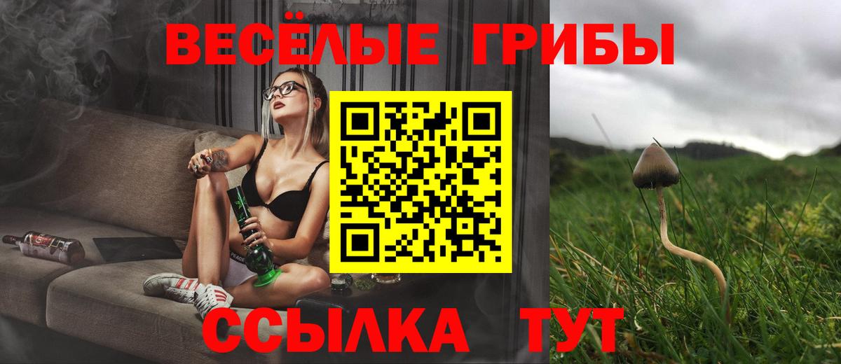 A PVP Кстово