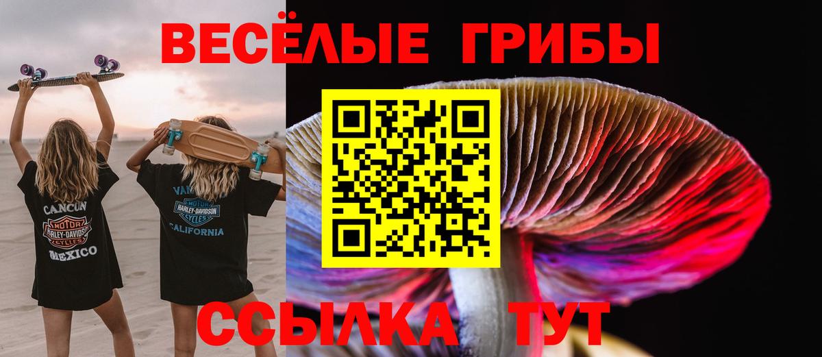 Кстово  Псилоцибиновые грибы прущие грибы  купить закладку  Вход с VPN 