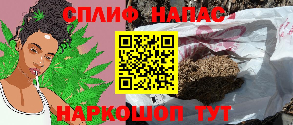 Каннабис индика Кстово